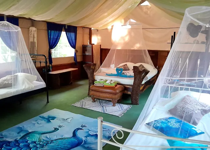 Fully Furnished Family Jungle Tent, Latino Glamping Paquera