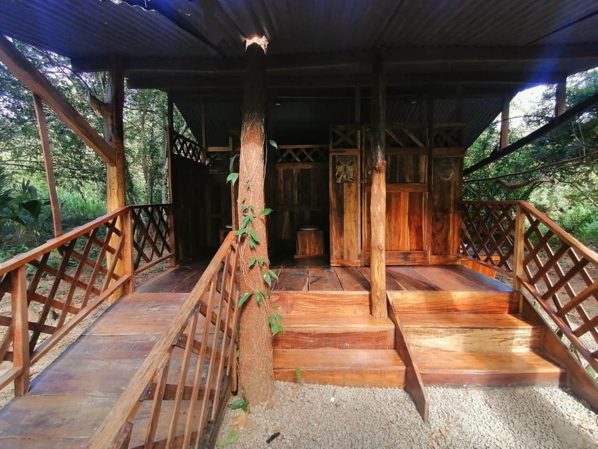 Fully Furnished Family Jungle Tent, Latino Glamping Tente de luxe