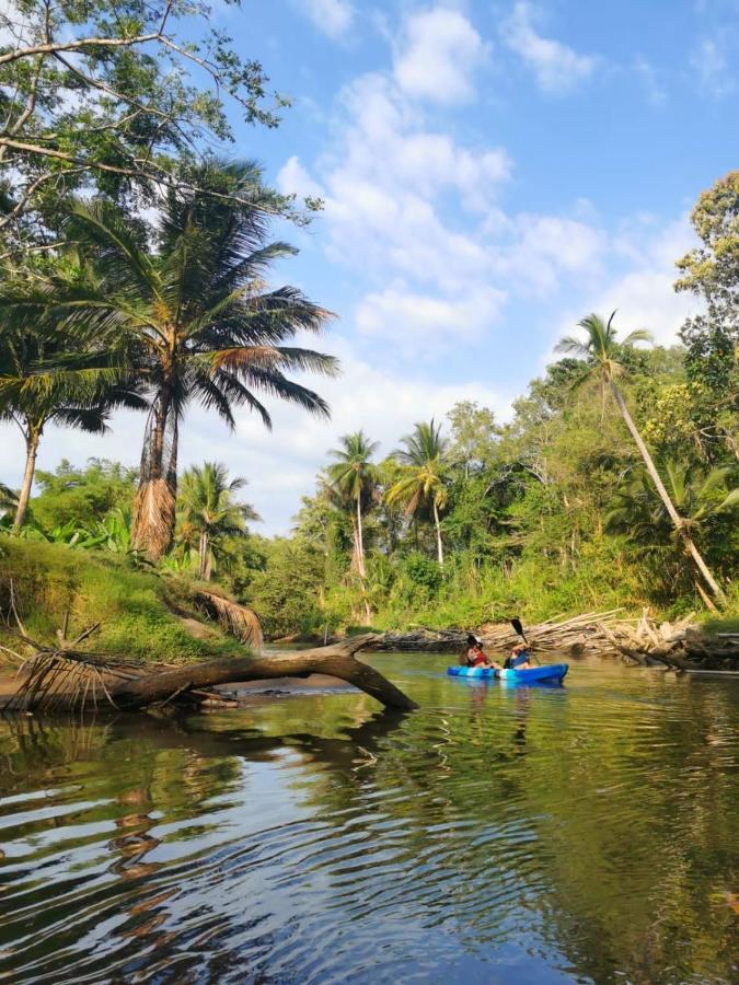 Fully Furnished Family Jungle Tent, Latino Glamping *