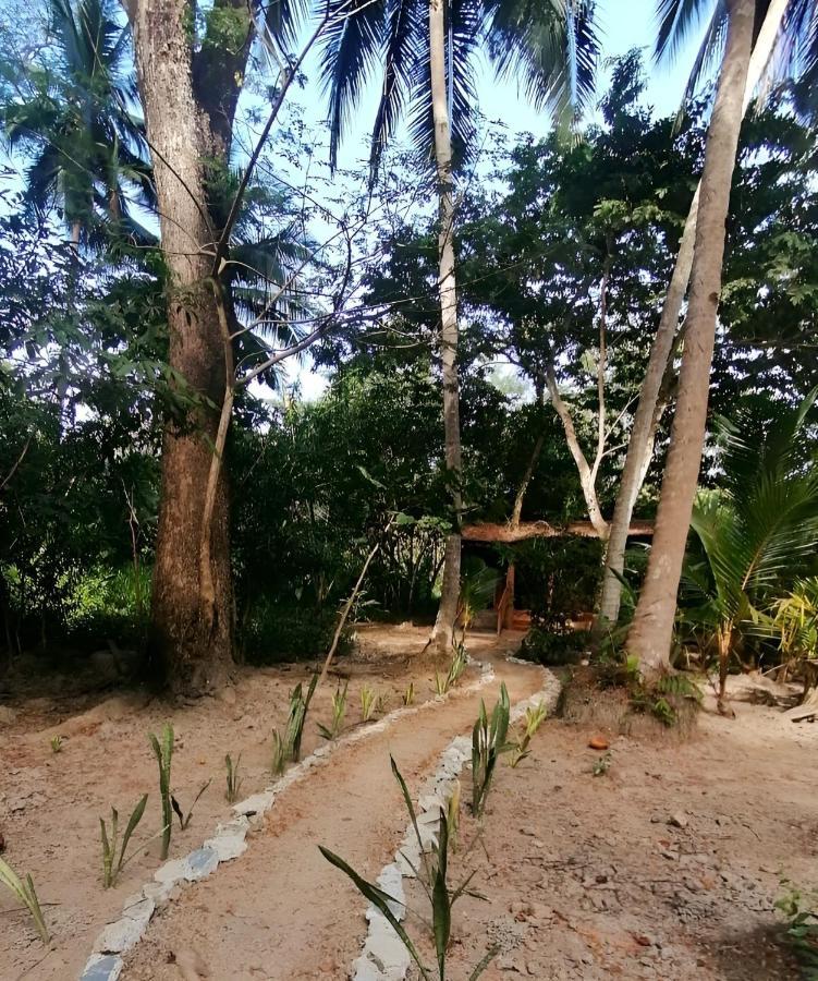 Fully Furnished Family Jungle Tent, Latino Glamping Tente de luxe *
