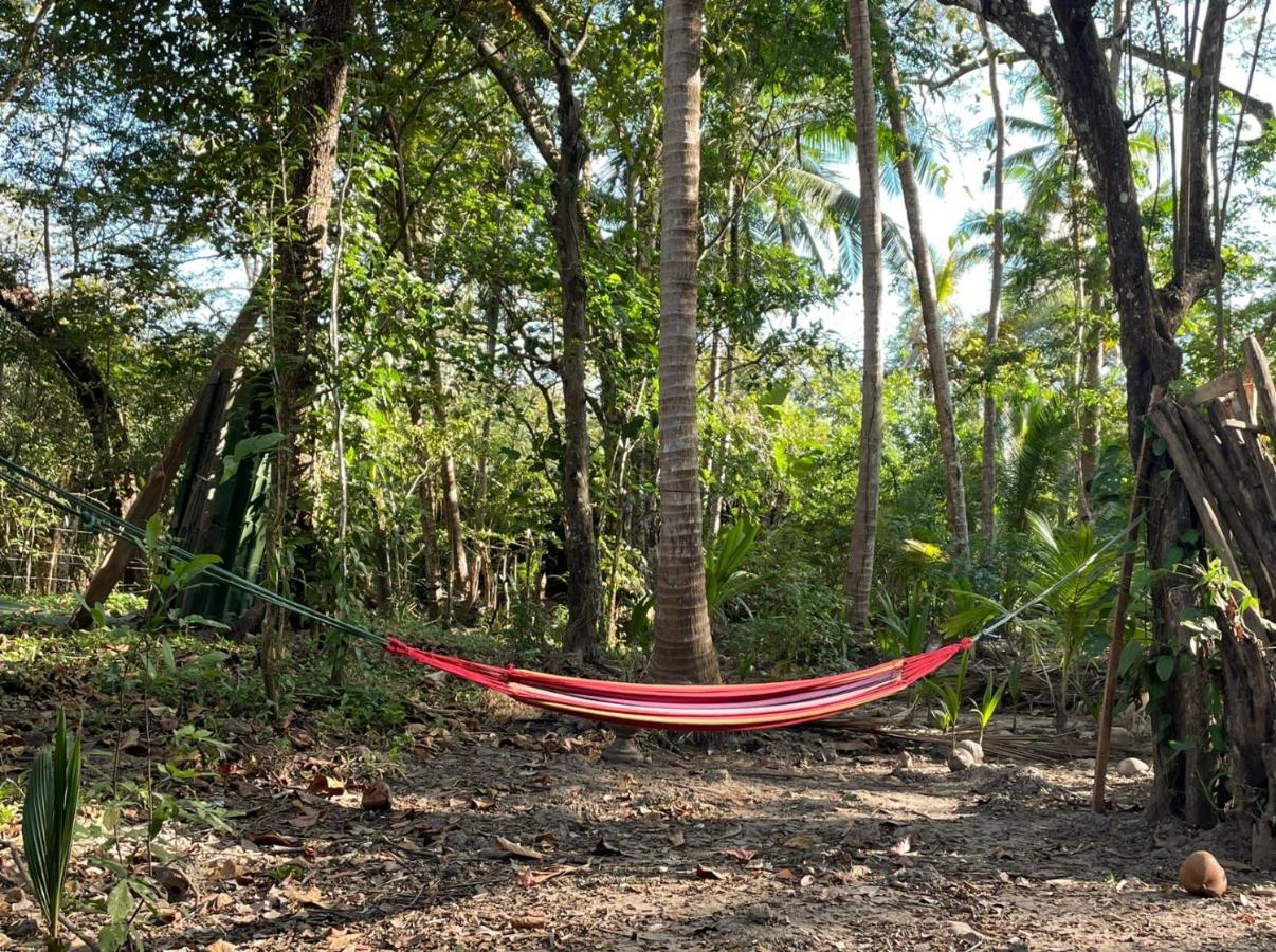Fully Furnished Family Jungle Tent, Latino Glamping