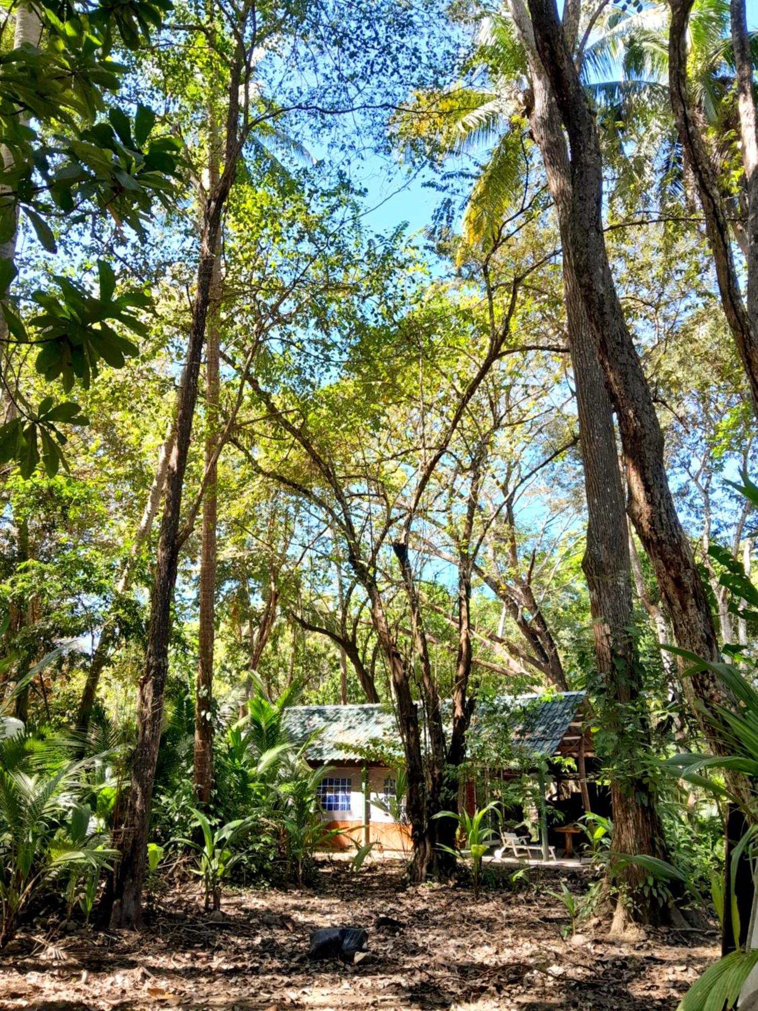 Fully Furnished Family Jungle Tent, Latino Glamping Tente de luxe *