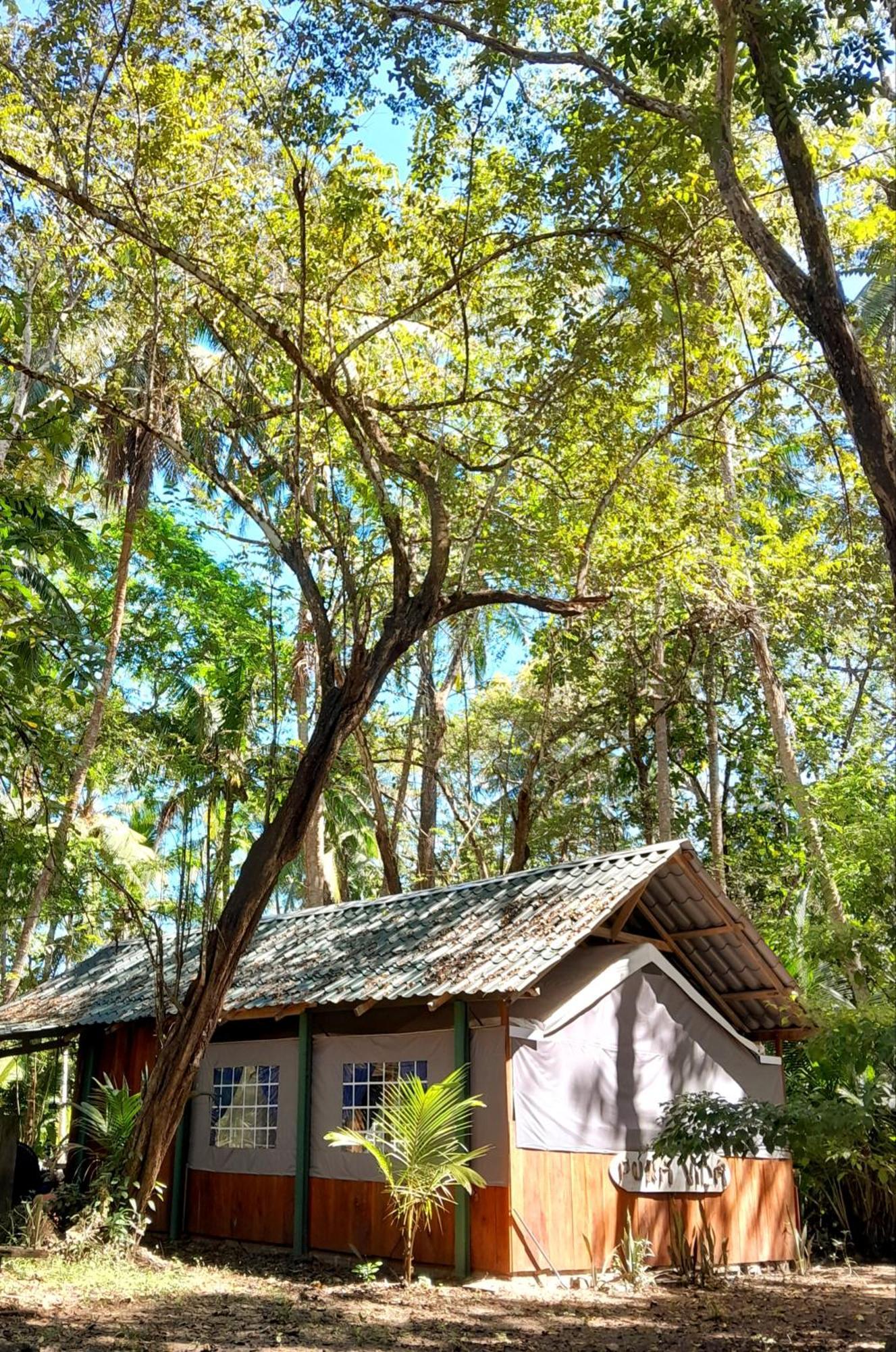 Tente de luxe Fully Furnished Family Jungle Tent, Latino Glamping *