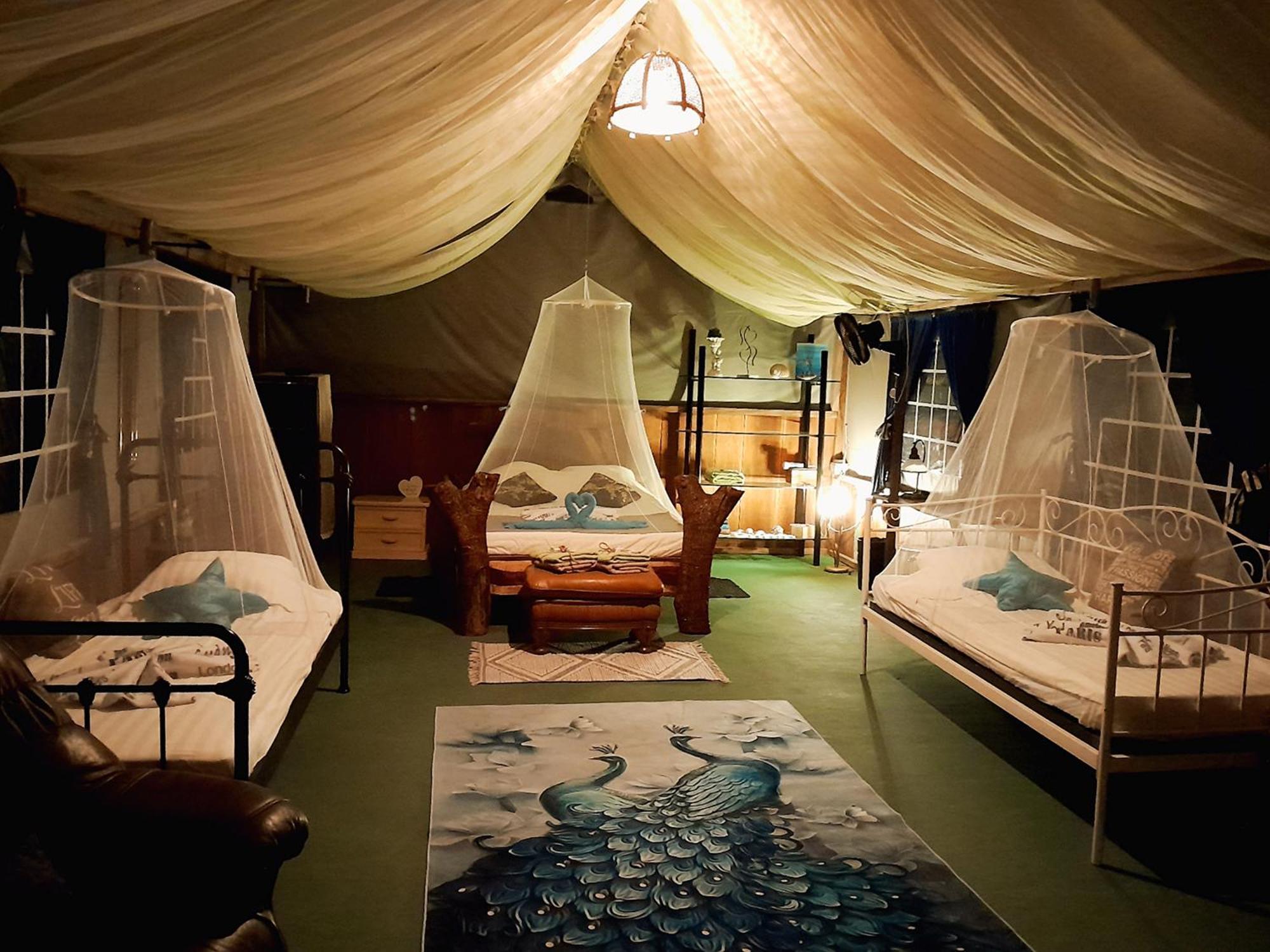 Fully Furnished Family Jungle Tent, Latino Glamping * Paquera