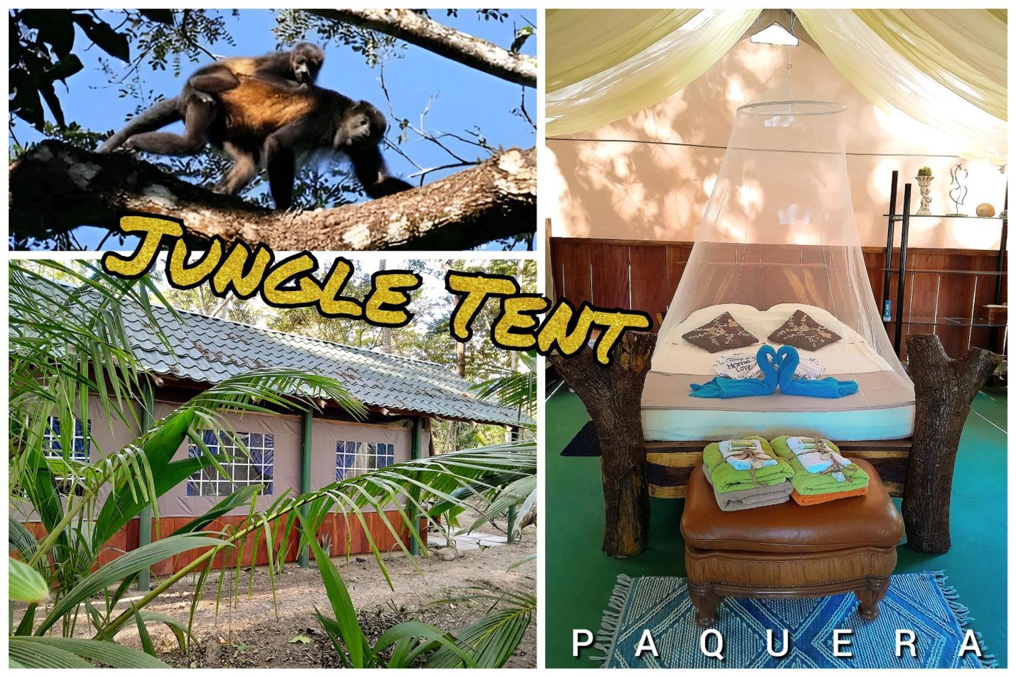 Fully Furnished Family Jungle Tent, Latino Glamping