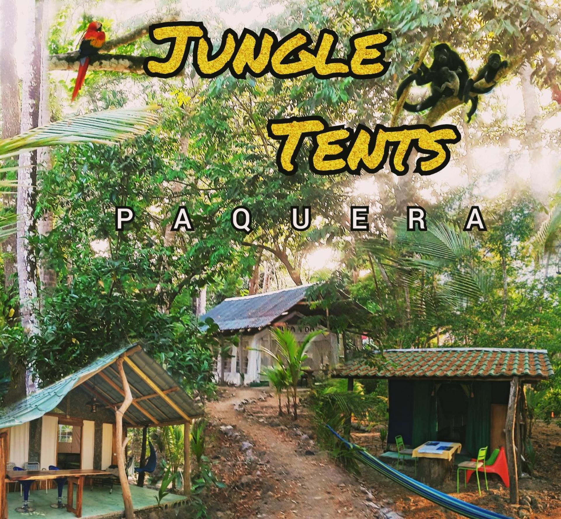 Tente de luxe Fully Furnished Family Jungle Tent, Latino Glamping