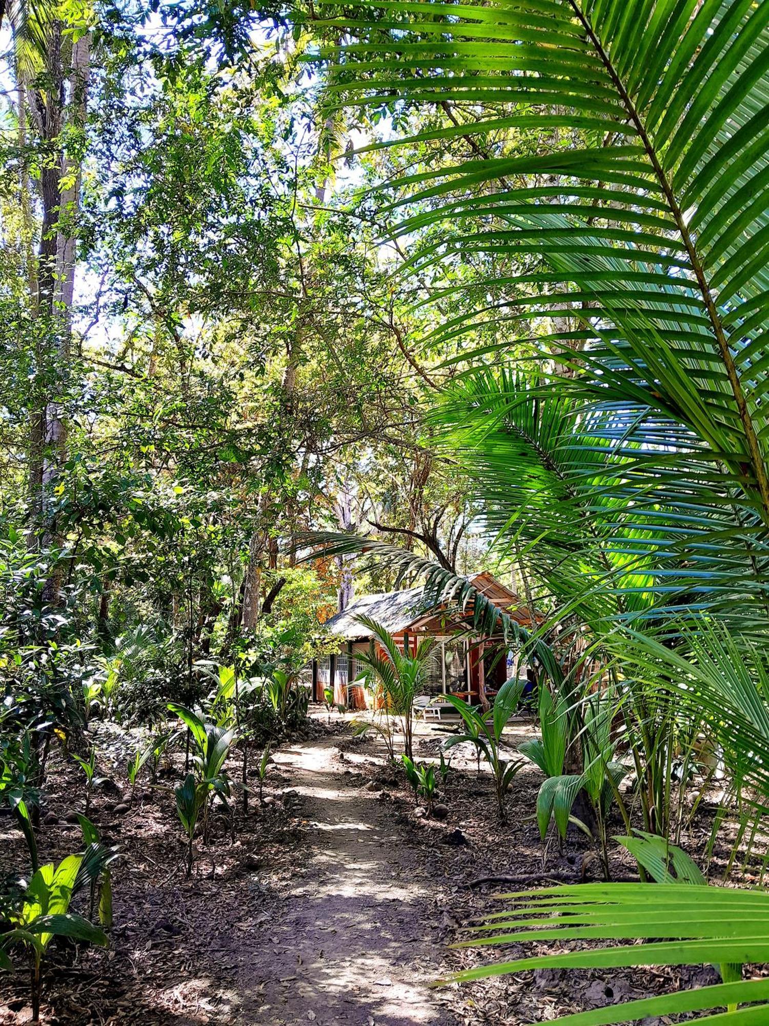 Fully Furnished Family Jungle Tent, Latino Glamping Paquera