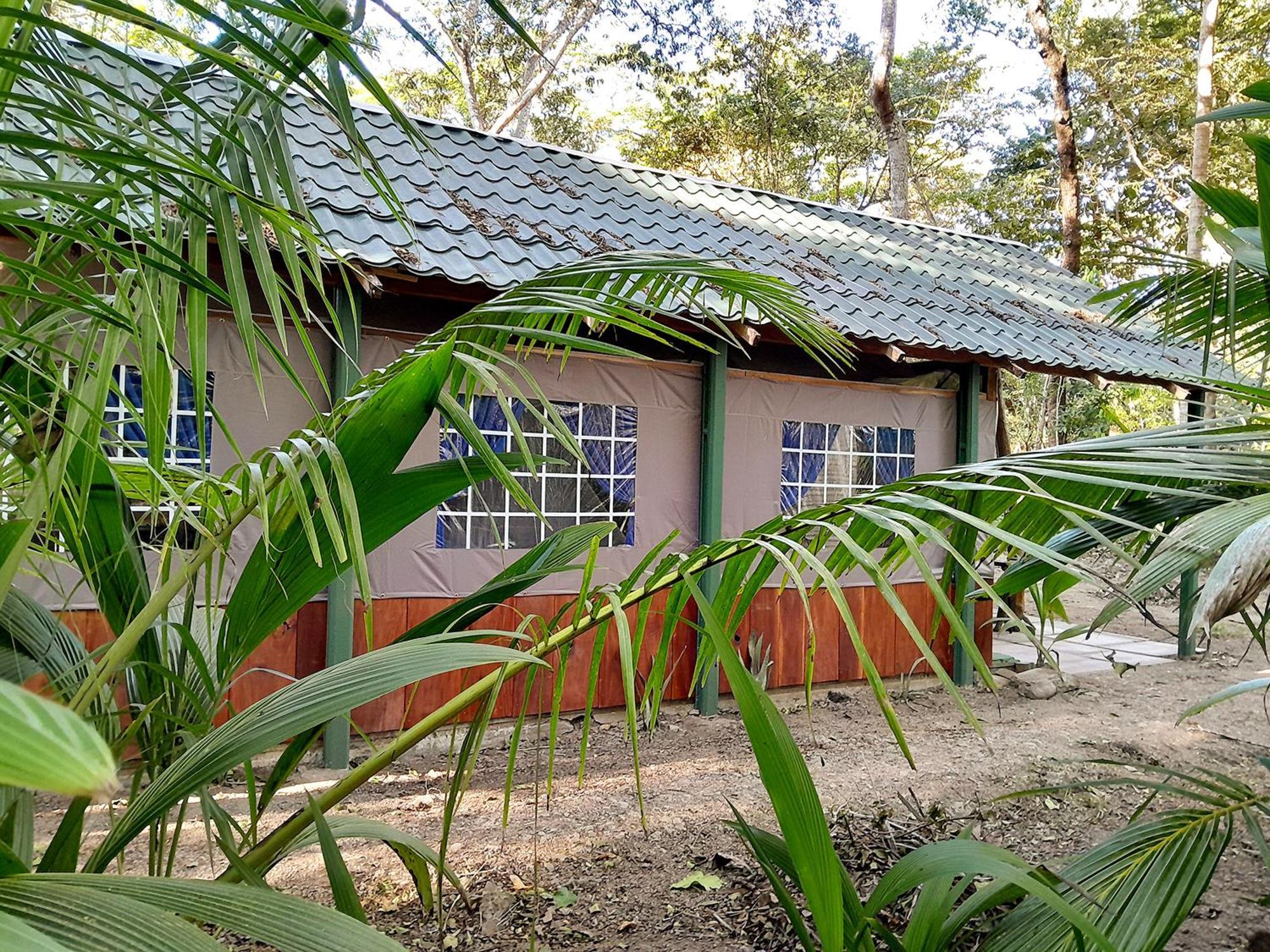 Fully Furnished Family Jungle Tent, Latino Glamping Tente de luxe