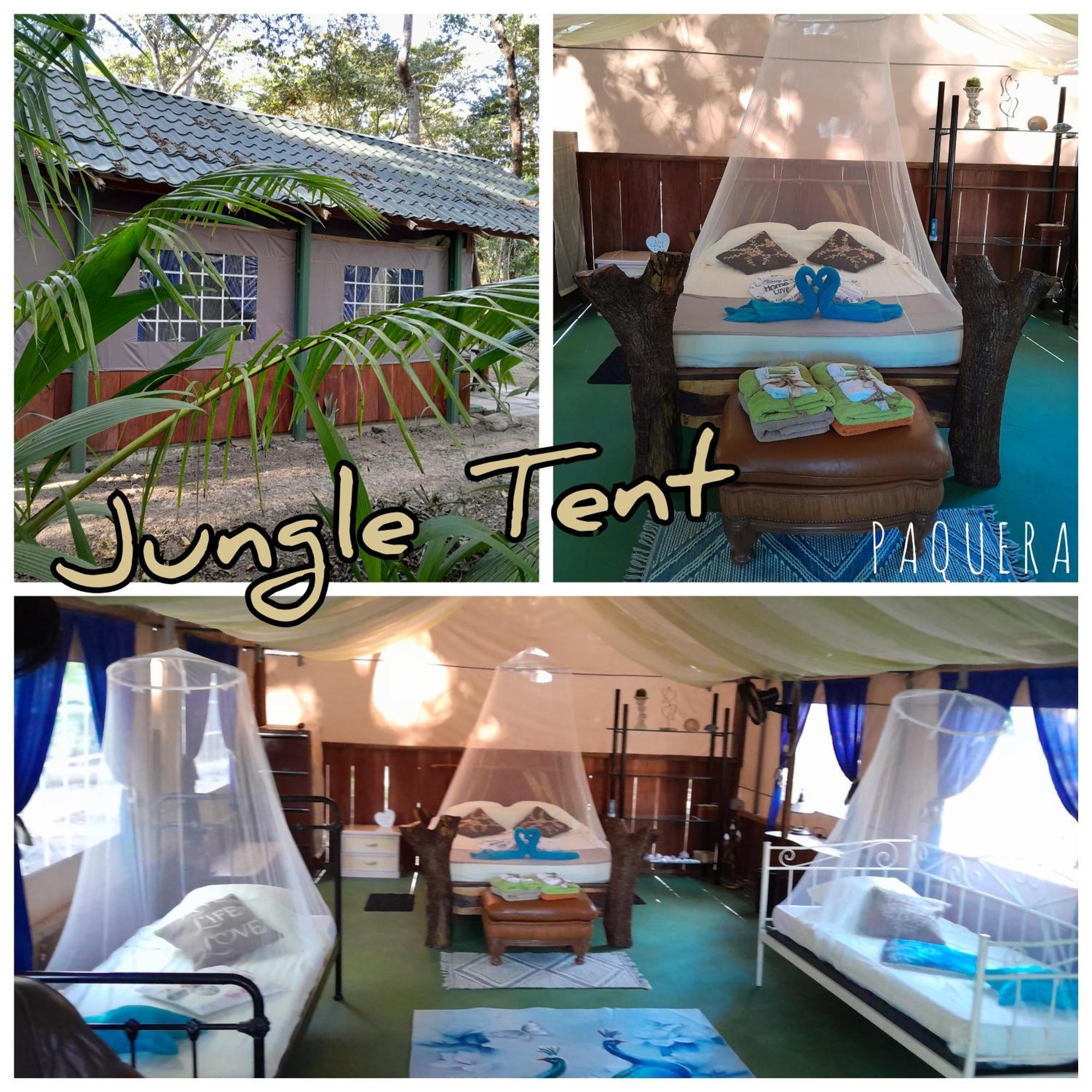 Tente de luxe Fully Furnished Family Jungle Tent, Latino Glamping